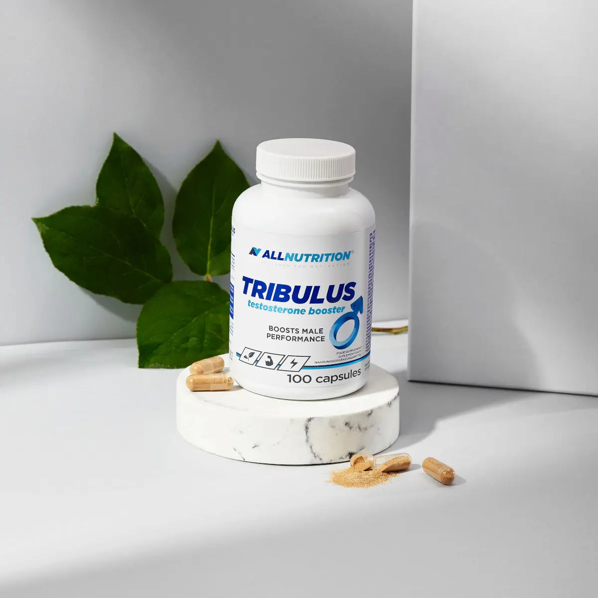 ALLNUTRITION - TRIBULUS 100 capsules ALLNUTRITION